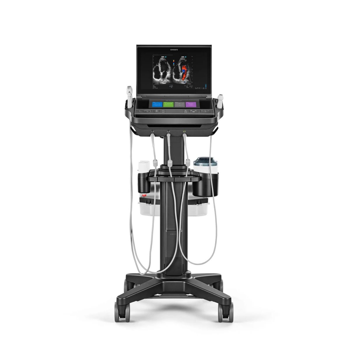 sonosite px system cardiac dual apical 4 chamber